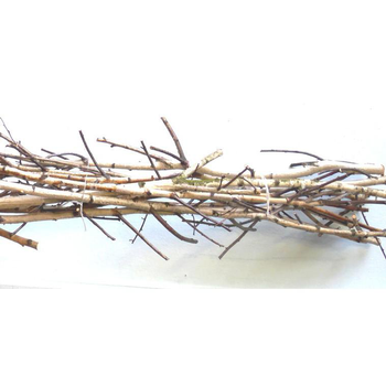 Visuel 1 du produit Fagot de10 branches de bouleaux - Le fagot