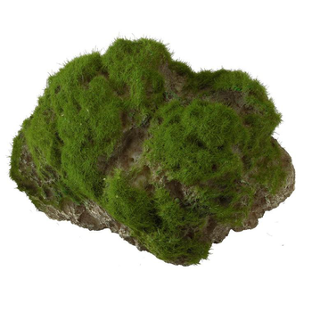 Visuel 1 du produit Décor d'aquarium pierre en mousse coloris vert résine de polyester taille L - 17 x 11 x 13,5 cm