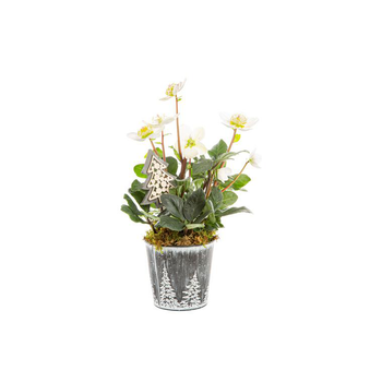 Visuel 1 du produit Hellebore Cache Pot Zinc Foret