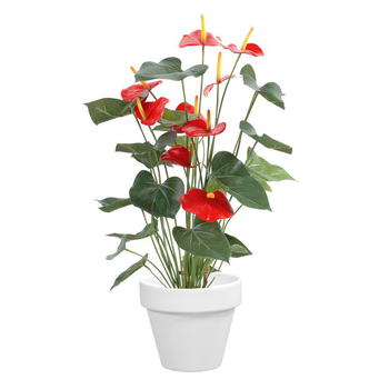 Visuel 1 du produit Pot horticole en terre cuite émaillée Blanc – D25 x H23