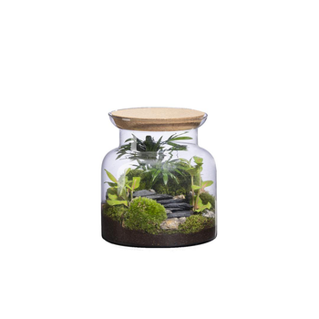 Visuel 1 du produit Terrarium autonome Jungle Landscape botanic® - taille S