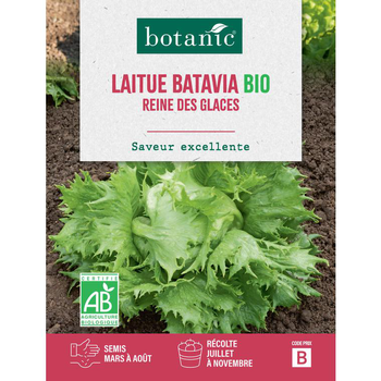 Visuel 1 du produit Graines de laitue batavia reine des glaces bio botanic® - graines batavia semer