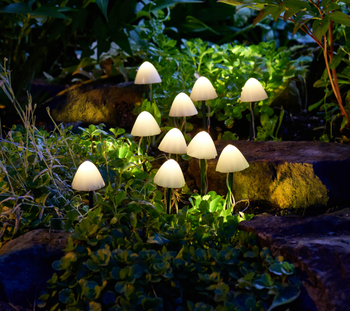 Visuel 1 du produit Lot de 10 balises solaires champignons coloris blanc en plastique - 200 x 66 cm