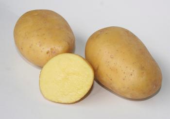 Visuel 1 du produit Sachet de pommes de terre maïwen calibre 28/35 - 3 kg