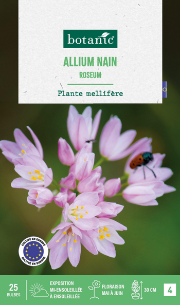 Visuel 1 du produit Allium roseum botanic® - 25 bulbes