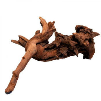 Visuel 1 du produit Racine de mangrove naturelle pour aquarium SUPERFISH - 20 cm