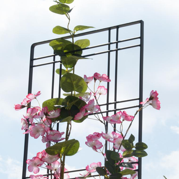 Visuel 1 du produit Treillage à piquer Écolier Fer plat Gris 30x100 cm