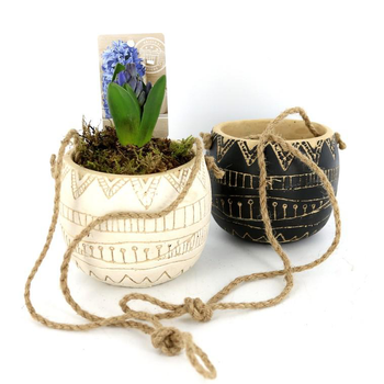 Visuel 1 du produit Suspension jacinthe x1 éthnique - La composition