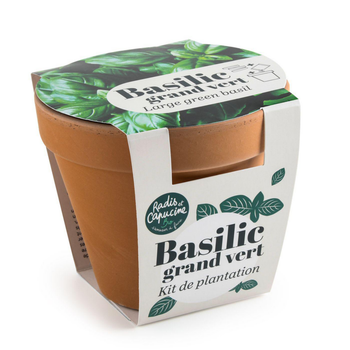 Visuel 1 du produit Kit de semence potager pot terre cuite antique basilic grand vert bio Radis & Capucine