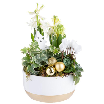 Visuel 1 du produit Composition de fleurs multicolore pot en céramique