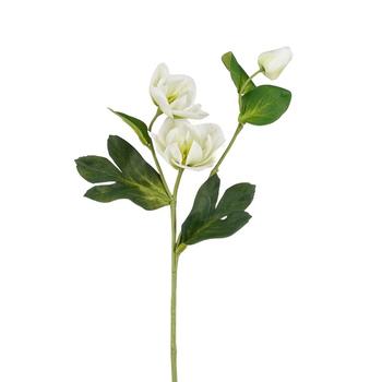 Visuel 1 du produit Tige artificielle d’hellébore crème - 55 cm