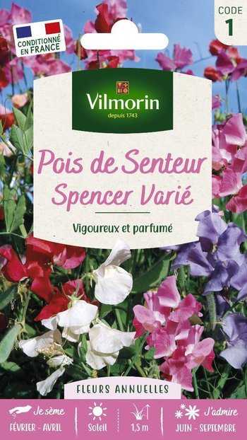 Visuel 1 du produit Graines de Pois de senteur Spencer varié Vilmorin - graines à semer