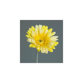 Visuel 1 du produit Tige de Gerbera décoratif jaune - 56 cm
