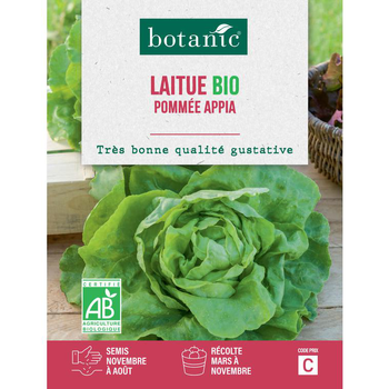 Visuel 1 du produit Graines de laitue pommée appia bio botanic® - graines pommée semer