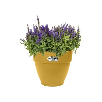 Visuel 1 du produit Pot rond en plastique injecté coloris jaune miel Elho Vibia Campana - Ø 30 x 25,8 cm