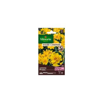 Visuel 1 du produit Graines de Coreopsis Presto Vilmorin graines d’exception - graines à semer