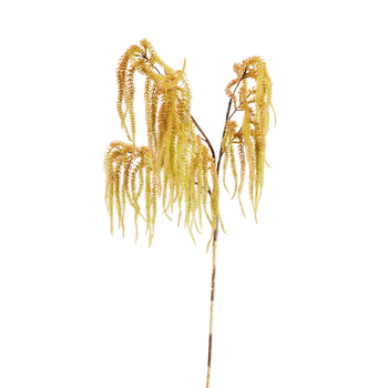 Visuel 1 du produit Branche amarante dorée coloris multicolore - 30 x 15 x 85 cm