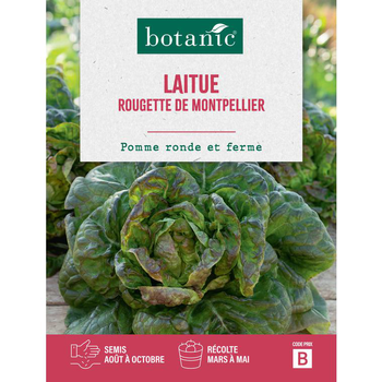 Visuel 1 du produit Graines de laitue rougette de Montpellier botanic® - graines à semer