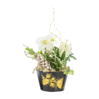 Visuel 1 du produit Composition hivernale en coupe zinc noir - Ø 15 cm