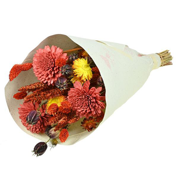 Visuel 1 du produit Bouquet de fleurs séchées Naturalys - Bouquet Sola S rouge - 50 cm