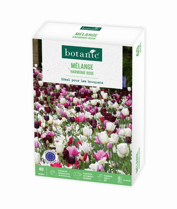 Visuel 1 du produit Mélange harmonie coloris rose botanic®  - 40 bulbes