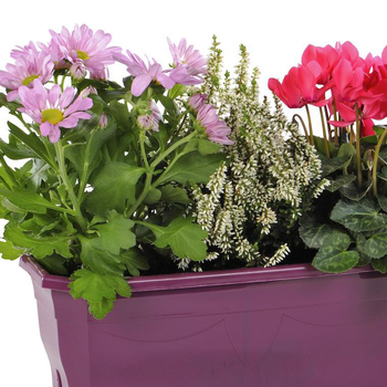 Visuel 1 du produit Jardinette pour extérieur - La jardinette