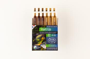 Visuel 1 du produit Boîte d'ampoules Prodibio Start'Up - x 12
