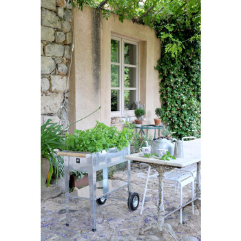 Visuel 1 du produit Potager urbain à roulettes 52 Litres Acier Galvanisé 75x135x80 cm