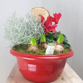 Visuel 1 du produit Composition d’automne rouge pour extérieur - La coupe de 27 cm