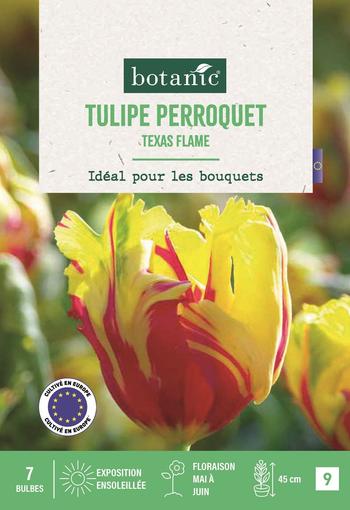 Visuel 1 du produit Tulipe per. Texas flame X7