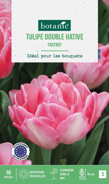 Visuel 1 du produit Tulipe foxtrot botanic® - 10 bulbes