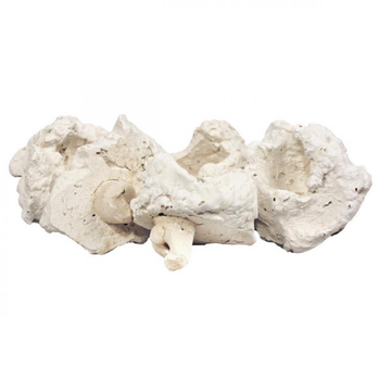 Visuel 1 du produit Pins à corail en plastique, AQUA MEDIC, modèle Coral - 10 plugs