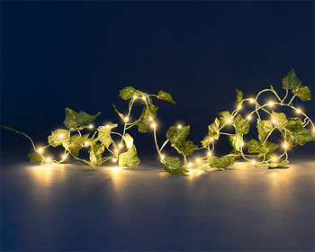 Visuel 1 du produit Guirlande solaire Blachère décoration lierre blanc chaud 80 LED - 4 m