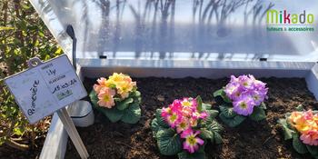 Visuel 1 du produit Lot de 3 étiquettes vierges pour plantes coloris blanc en plastique - 12 x 1 x 14 cm