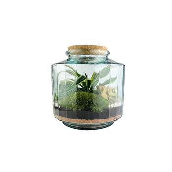 Visuel 1 du produit Terrarium autonome Napoli M botanic® - Ø 23 x 25 cm