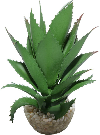 Visuel 1 du produit Plante artificielle pour terrarium tropical ou désertique coloris vert LABEO Ananas