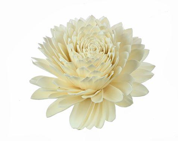 Visuel 1 du produit Tête de fleur de Sola blanche à suspendre Naturalys - Ø 25 cm