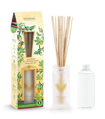 Visuel 1 du produit Bouquet parfumé avec sa recharge senteur mangue et citron vert Esteban - 100 ml