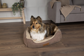 Visuel 1 du produit Corbeille pour chien coloris marron Scruffs Cosy – Taille XL