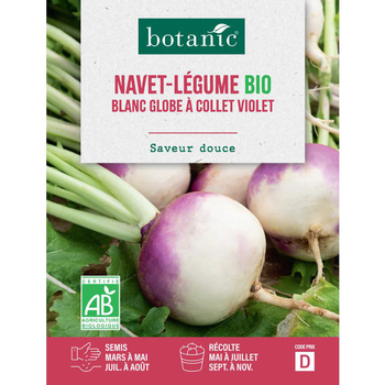 Visuel 1 du produit Graines de navet blanc globe à collet violet bio botanic® - graines à semer