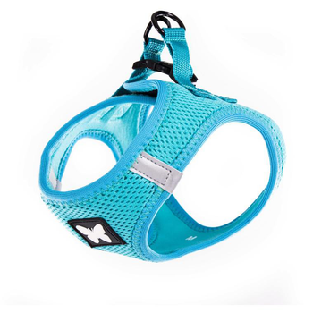 Visuel 1 du produit Harnais Mesh turquoise pour chien - 2XS