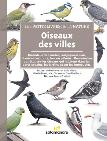 Visuel 1 du produit Livre "Oiseaux des villes" collection Les petits livres de la nature aux Éditions Salamandre