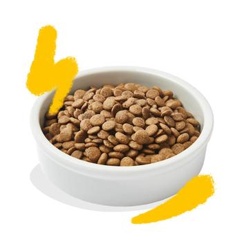 Visuel 2 du produit Croquettes pour chat adulte à la dinde et au poulet sans céréales Edgard & Cooper - 2 kg