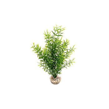Visuel 1 du produit Sprengeri haut vert en plastique 26 cm