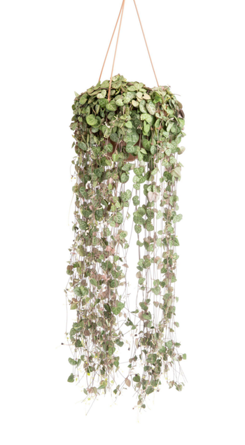 Visuel 1 du produit Chaîne de cœurs verts. La suspension Ø 20 cm