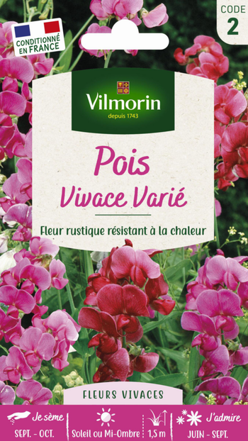 Visuel 1 du produit Graines de Pois vivace varié Vilmorin - graines à semer