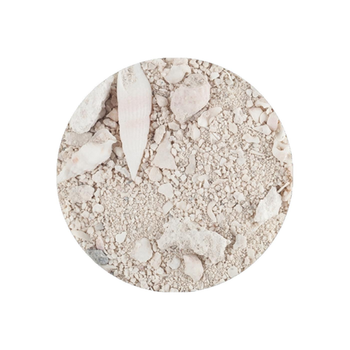 Visuel 1 du produit Sable marin naturel, conservé vivant, CARIBSEA Ocean Direct - 2kg