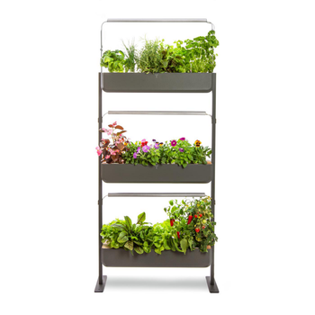 Visuel 1 du produit Potager coloris graphite Gourmet Indoor Véritable - 3 étages