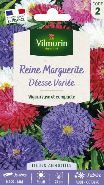 Visuel 1 du produit Graines de Reine Marguerite Déesse Variée Vilmorin - graines à semer