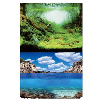 Visuel 1 du produit Poster aquascaping océan, face plantes - AQUA NOVA modèle S - 60x30 cm
